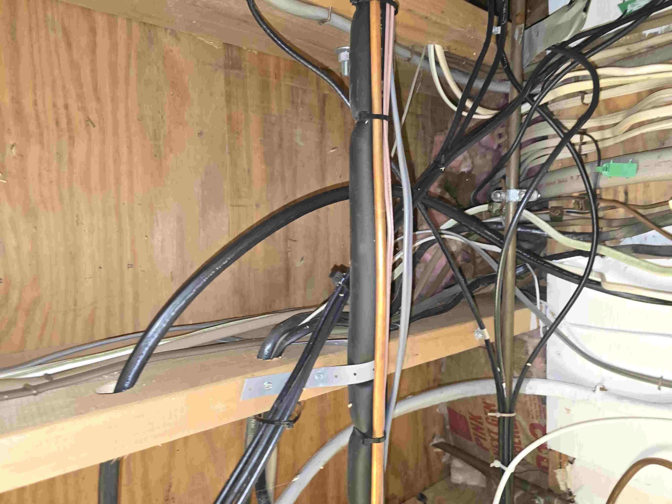 20250813 163702 83651452 edited scaled